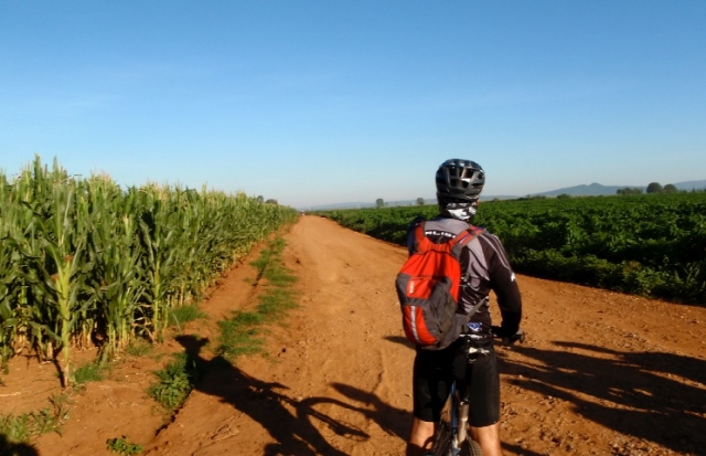 Rutas ciclistas
